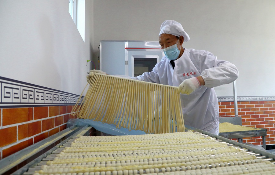 張掖民樂:掛起“銀絲子” 鼓起“錢袋子”【2】