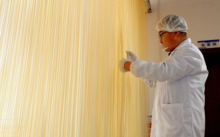 張掖民樂:掛起“銀絲子” 鼓起“錢袋子”【3】