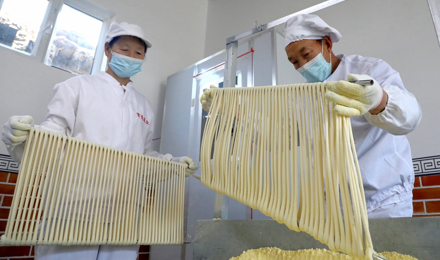 張掖民樂:掛起“銀絲子” 鼓起“錢袋子”【5】