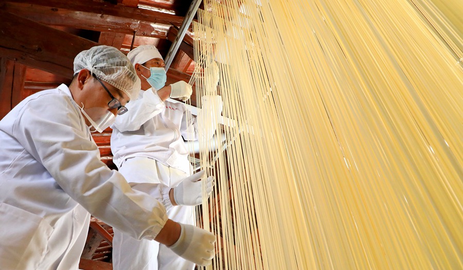 張掖民樂:掛起“銀絲子” 鼓起“錢袋子”【6】