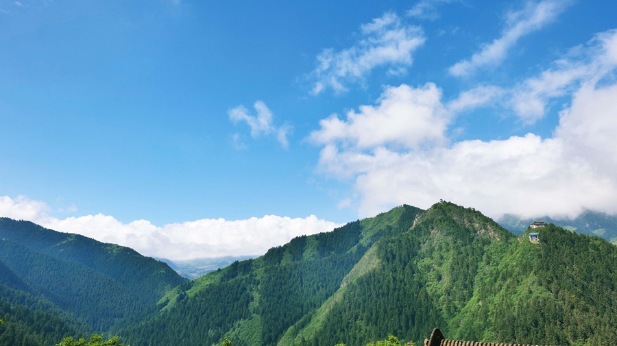 甘肅榆中：興隆初夏 生機盎然【5】