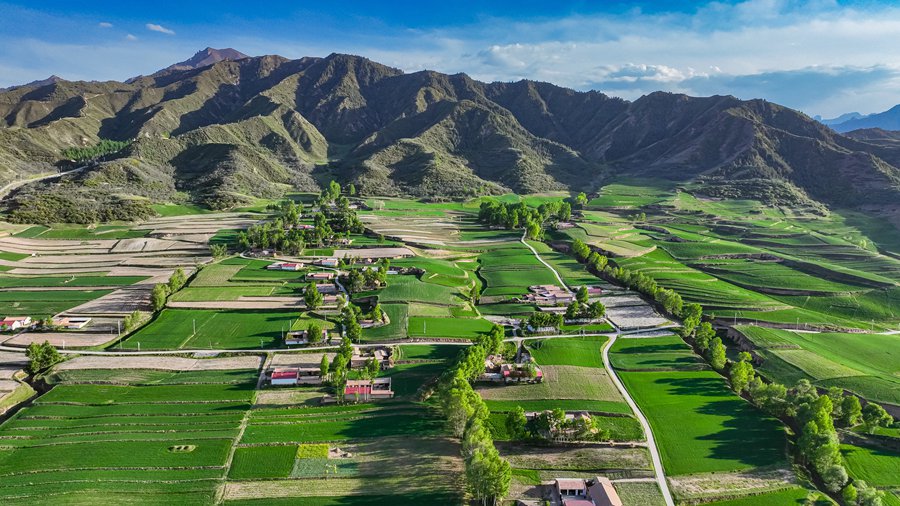 好風光！俯瞰祁連山下小村落【6】