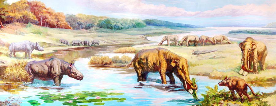 鏟齒象動物群。和政縣委宣傳部供圖