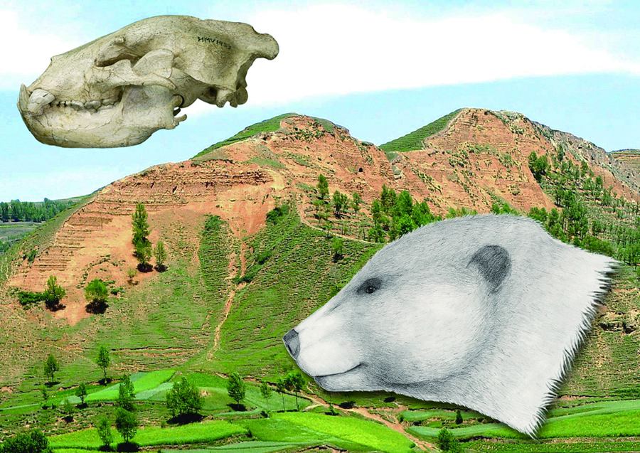 戴氏祖熊。和政縣委宣傳部供圖