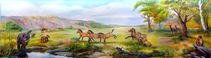 真馬動物群。和政縣委宣傳部供圖