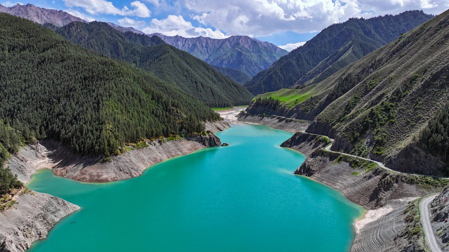 治愈系！看夏日祁連山的“自然色”