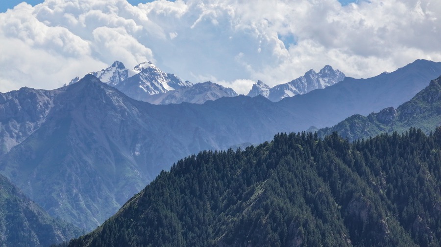 治愈系！看夏日祁連山的“自然色”【2】