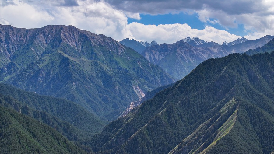 治愈系！看夏日祁連山的“自然色”【3】