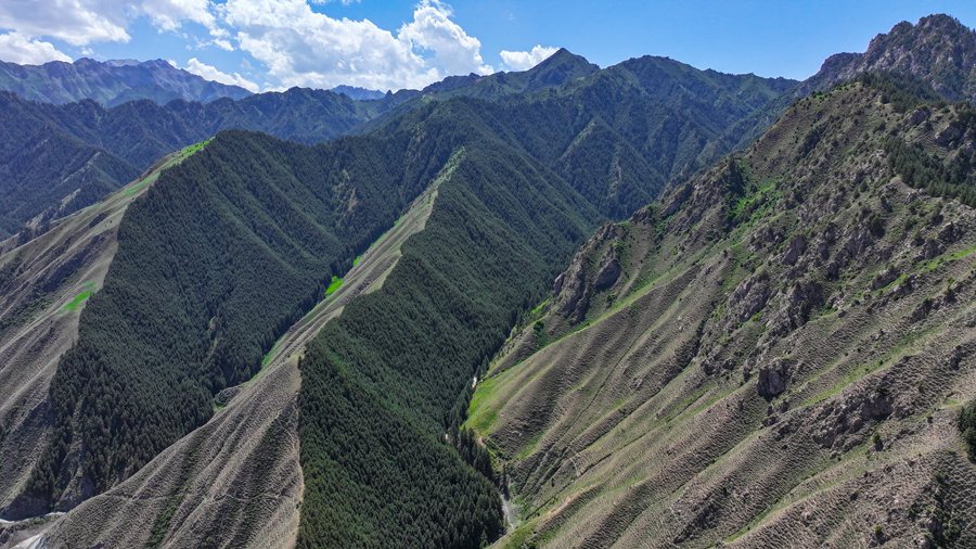 治愈系！看夏日祁連山的“自然色”【4】