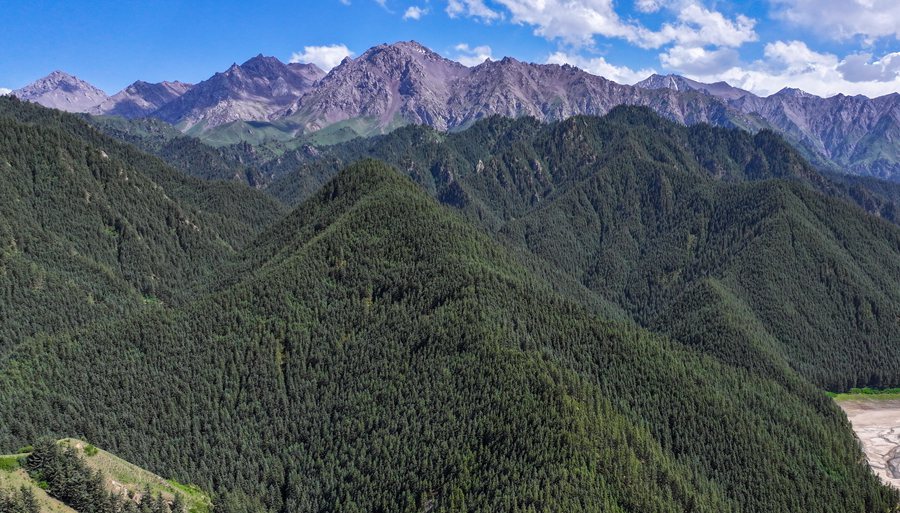 治愈系！看夏日祁連山的“自然色”【5】