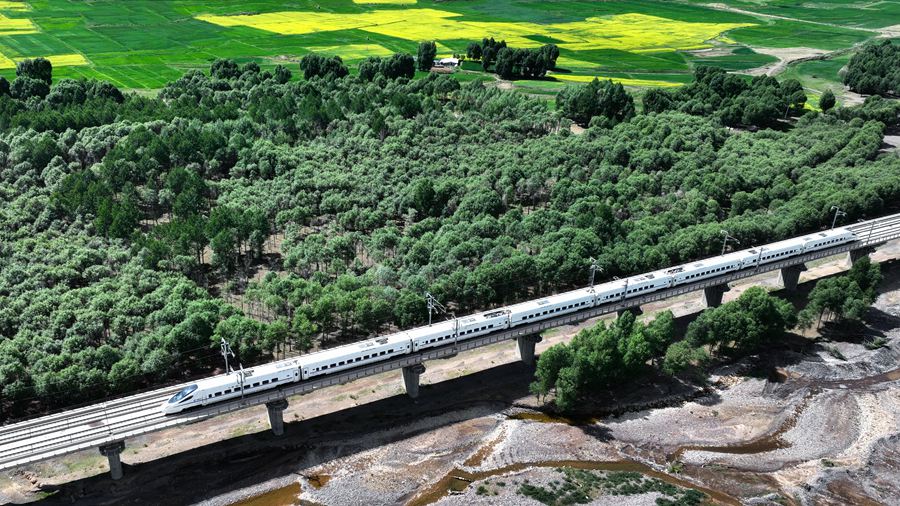 絢爛奪目！ 甘肅民樂萬畝油菜花競相綻放