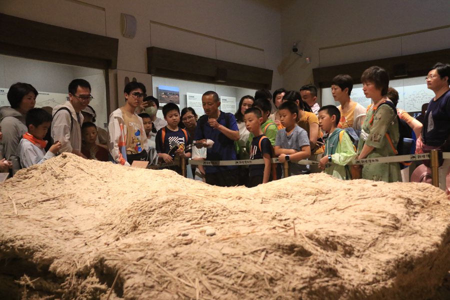 暑假期間，小朋友在家長的陪伴下，在敦煌市博物館參觀文物展。張曉亮攝