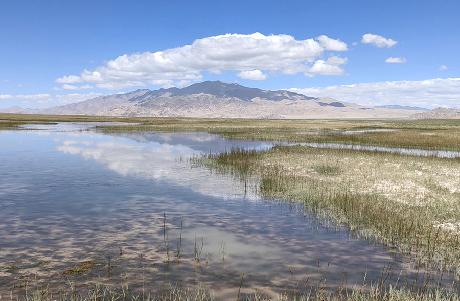 祁連山下，鹽池灣濕地美景如畫。肅北縣委宣傳部供圖