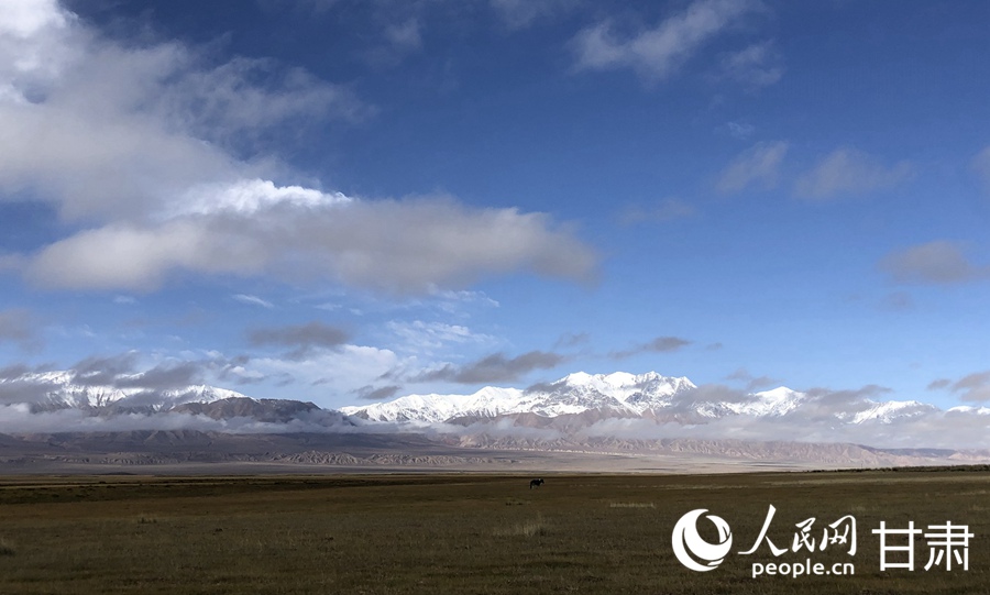 祁連山下，鹽池灣濕地美景如畫。人民網記者 焦隆攝