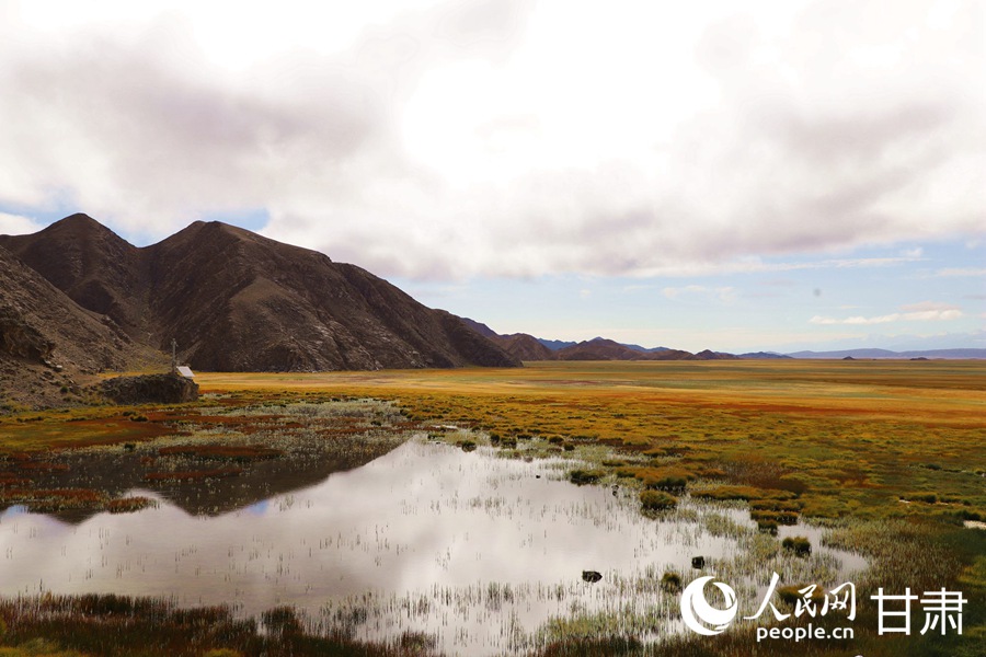 祁連山下，鹽池灣濕地美景如畫。人民網記者 焦隆攝
