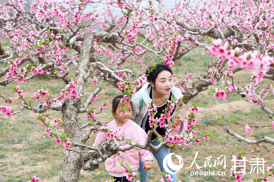 4月12日，游客在桃園中賞花游玩。人民網記者 王文嘉攝