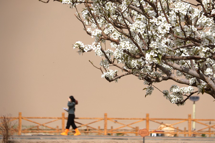 游客在甘肅省敦煌市鳴沙山月牙泉景區游覽。張曉亮攝