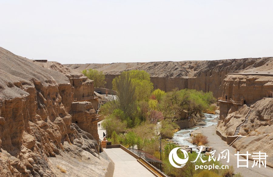 春意盎然的榆林窟。人民網記者 王文嘉攝