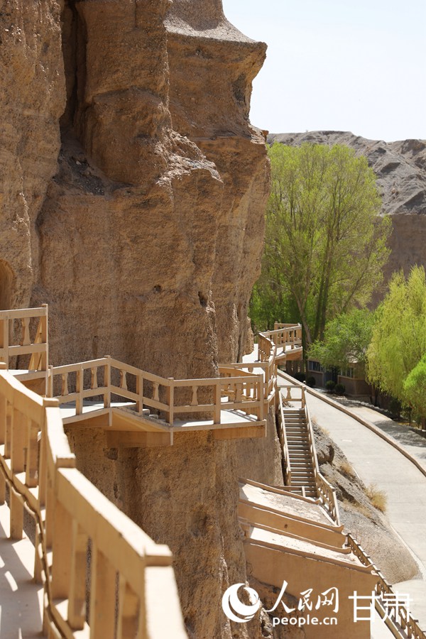 春意盎然的榆林窟。人民網記者 王文嘉攝