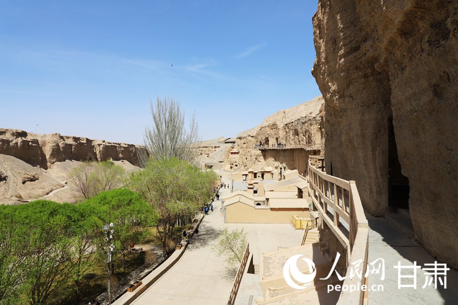 春意盎然的榆林窟。人民網記者 王文嘉攝