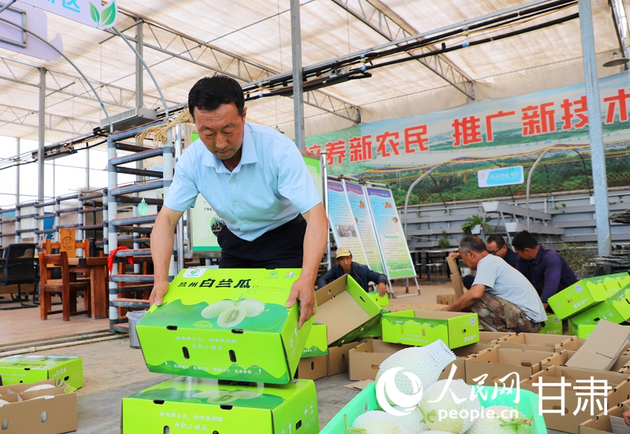 瓜農正在整理打包好的白蘭瓜。人民網記者 王文嘉攝