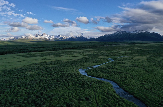 俯瞰山丹馬場一隅。王超攝（山丹馬場供圖）