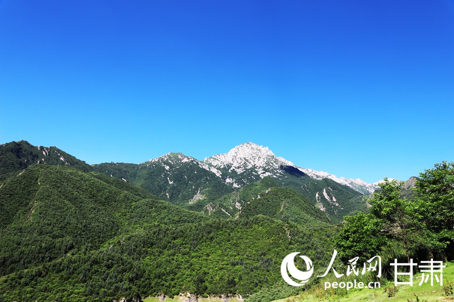 甘肅臨潭：“綠”動高原 邂逅天池冶?！?】