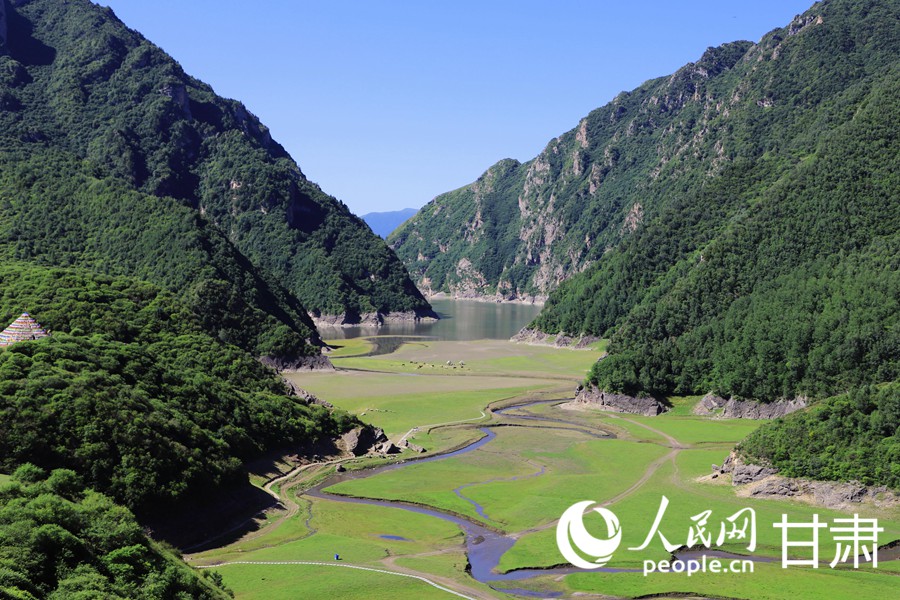 甘肅臨潭：“綠”動高原 邂逅天池冶?！?】