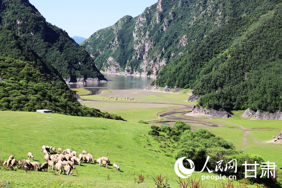 甘肅臨潭:“綠”動高原 邂逅天池冶海