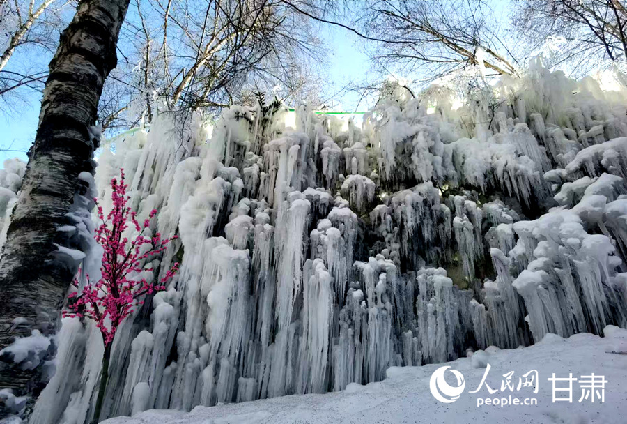 甘肅康樂:"冷冰雪"帶動"熱經濟" 邂逅冬日最美白樺林【2】