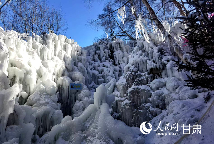 甘肅康樂:"冷冰雪"帶動"熱經濟" 邂逅冬日最美白樺林【6】
