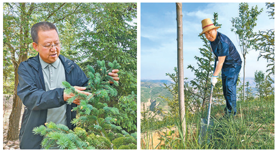 三片生態林 東西協作情