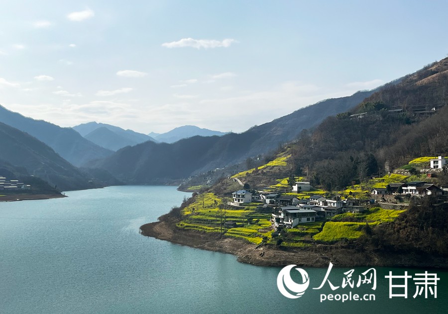 甘肅文縣：油菜花開迎春來【3】