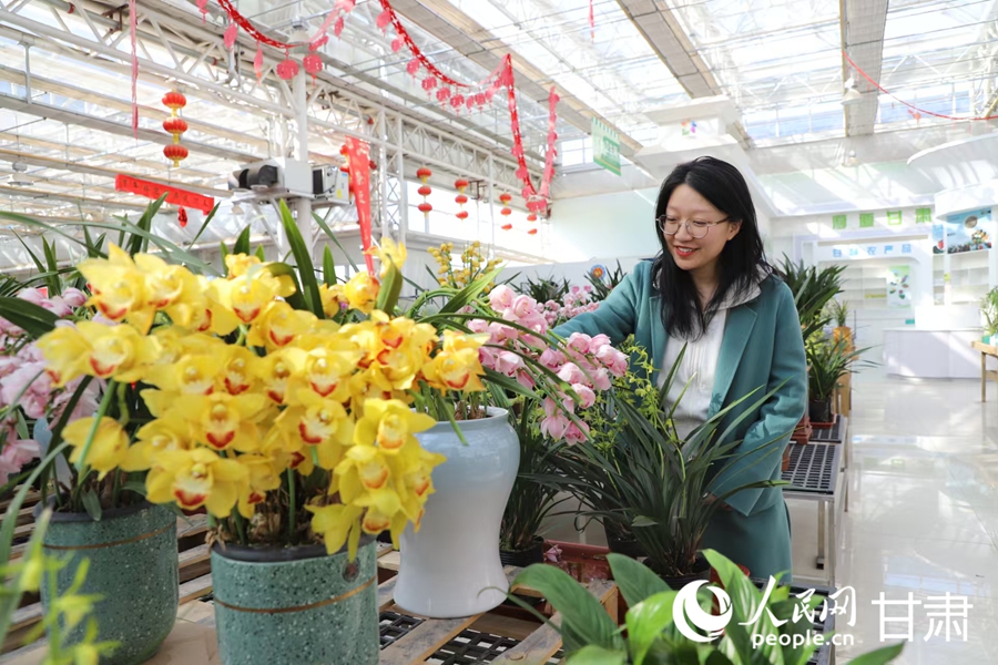 游客在蘭州新區花卉交易中心選購鮮花。人民網記者 黃帆攝