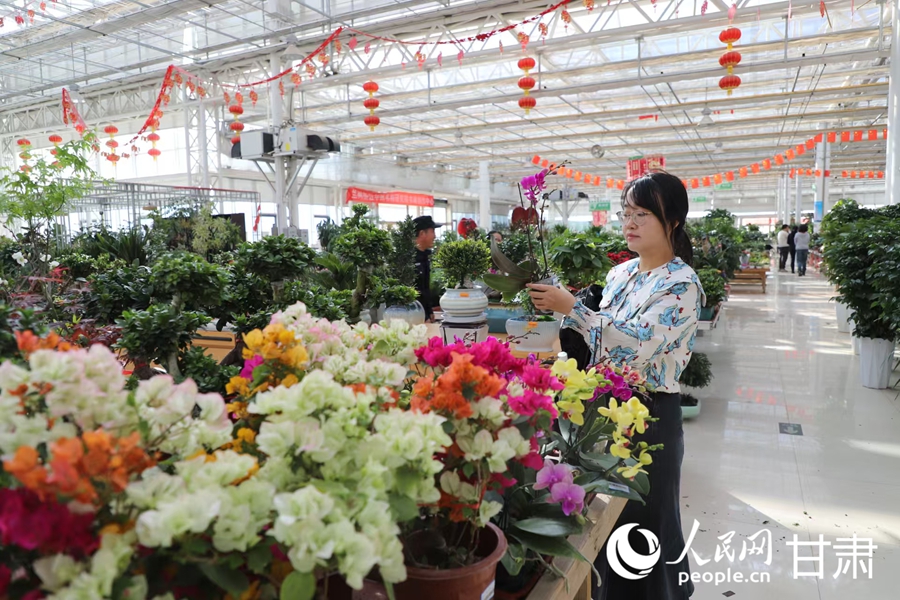 游客在蘭州新區花卉交易中心選購鮮花。人民網記者 黃帆攝
