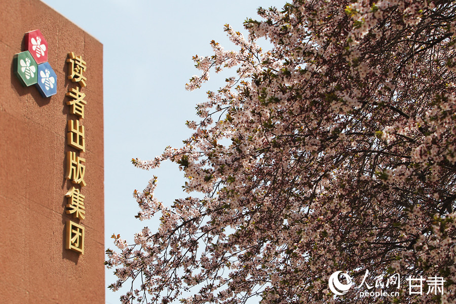 賞花正當時|漫步金城春日“花路”【2】