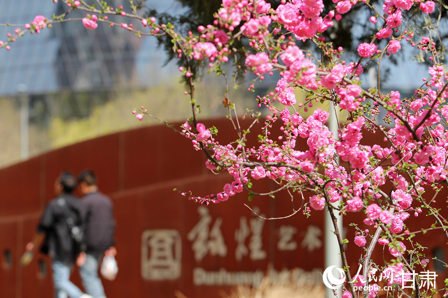 賞花正當時|漫步金城春日“花路”【9】