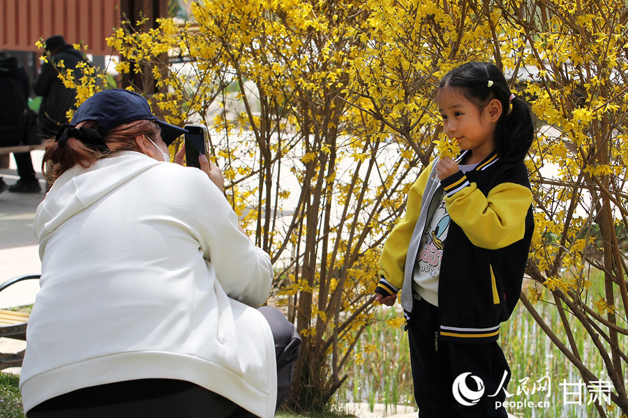 賞花正當時|漫步金城春日“花路”【12】