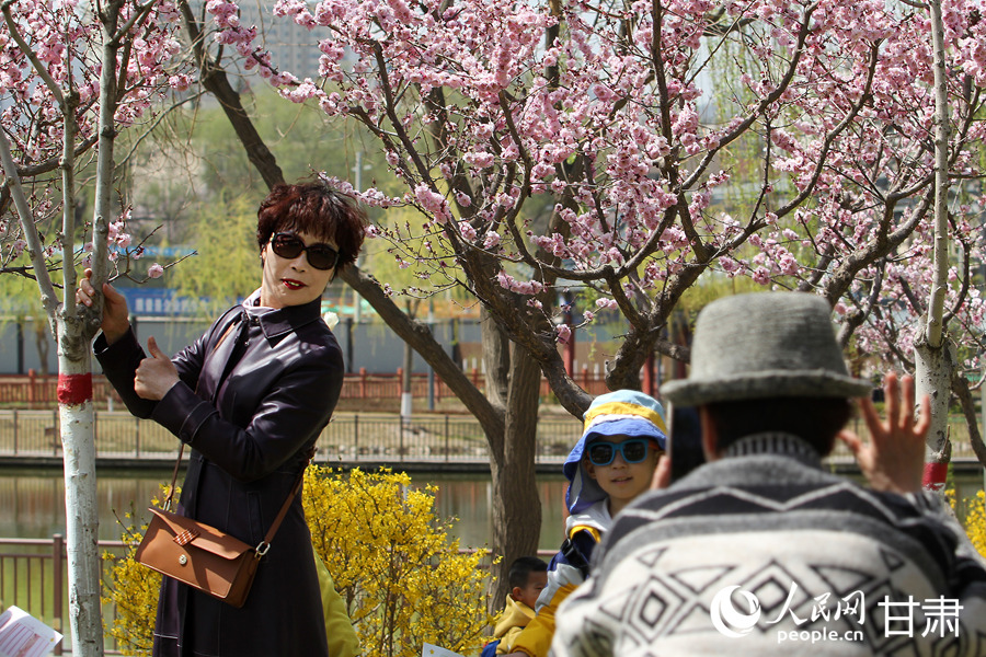 賞花正當時|漫步金城春日“花路”【13】