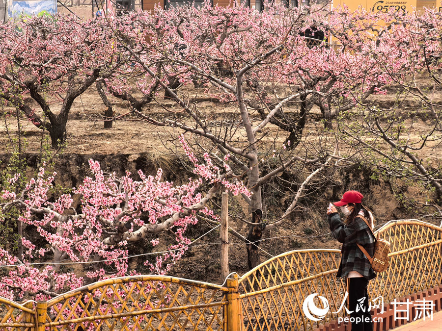 游客正在劉坪鎮秦洼桃花堡景區賞花。