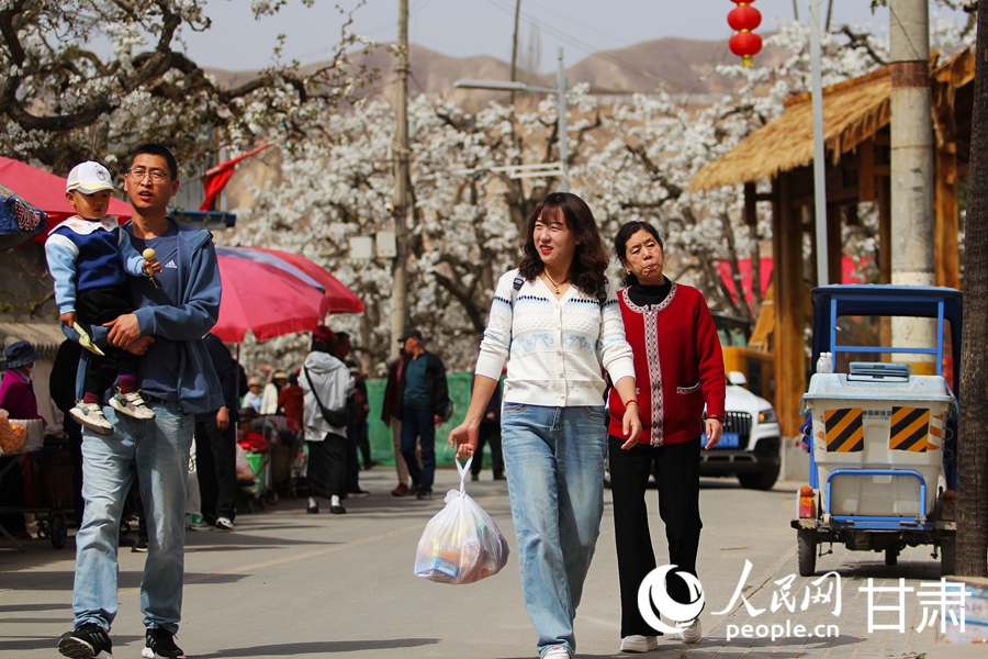 賞花正當時|甘肅蘭州：梨花俏 春意濃【2】