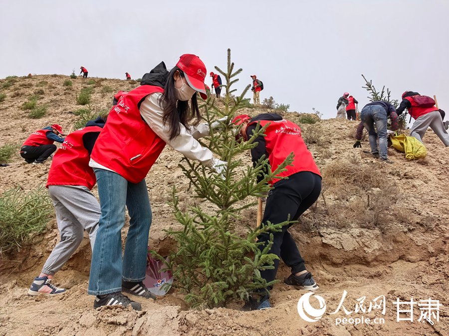 甘肅:種下綠色希望 共筑美麗家園【2】