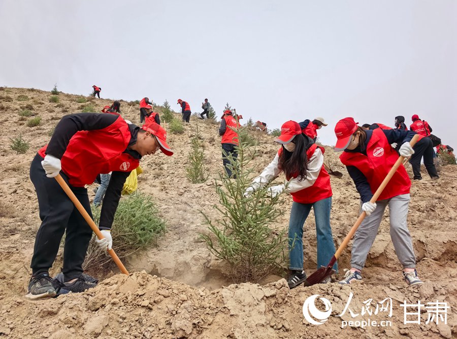 甘肅：種下綠色希望 共筑美麗家園【3】