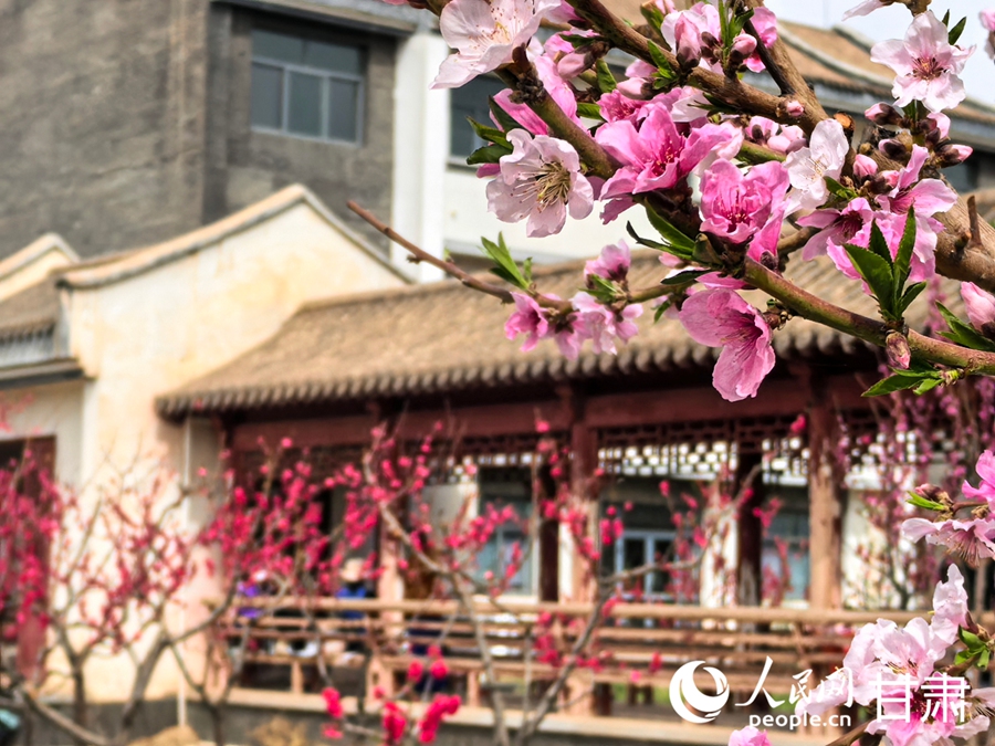 十里桃鄉春光美【6】