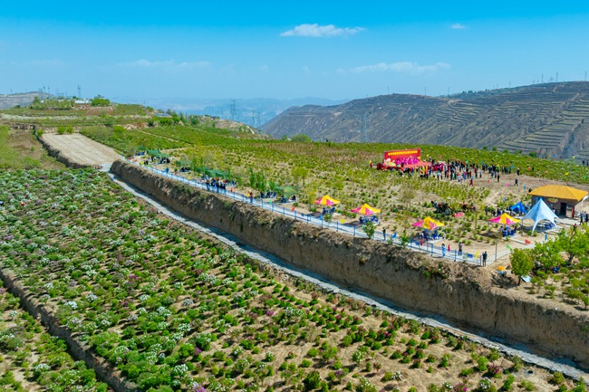 活動現場。榆中縣委宣傳部供圖