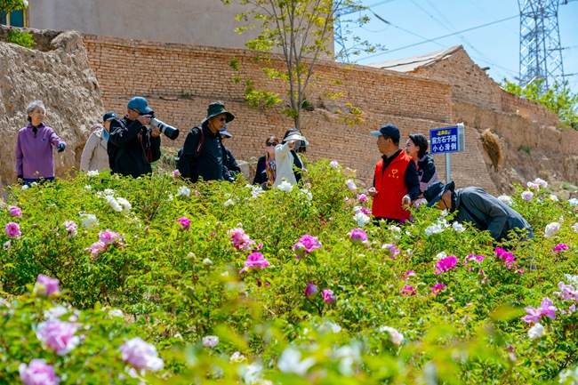 游人踏青賞花。榆中縣委宣傳部供圖
