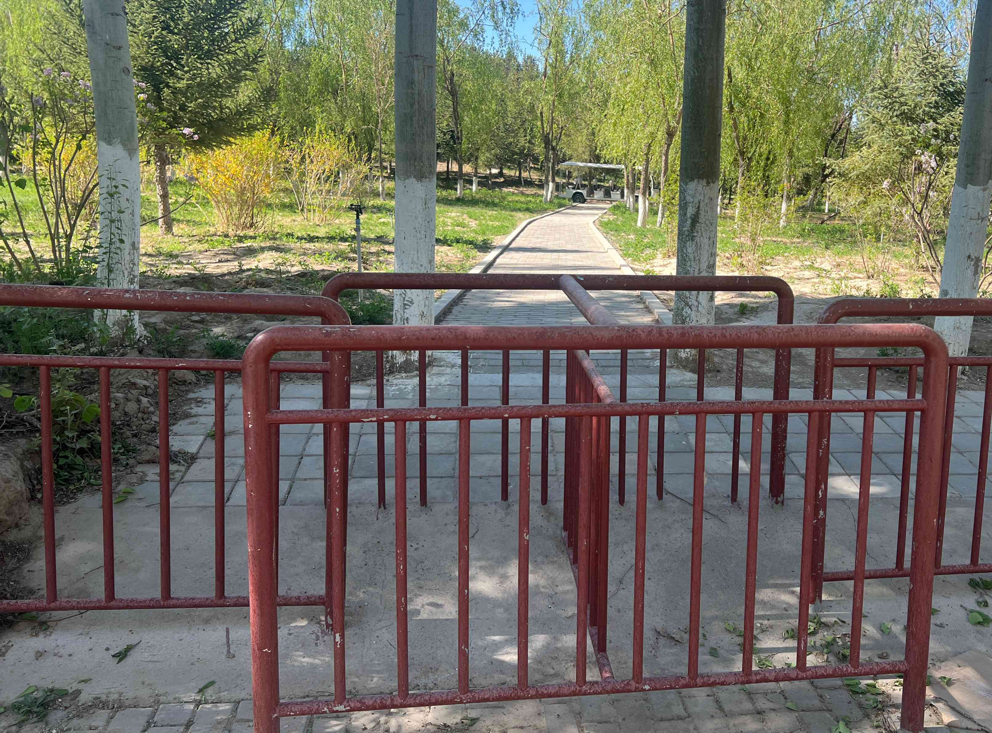 圖為東湖生態公園新建設的出入口。東湖生態旅游景區供圖