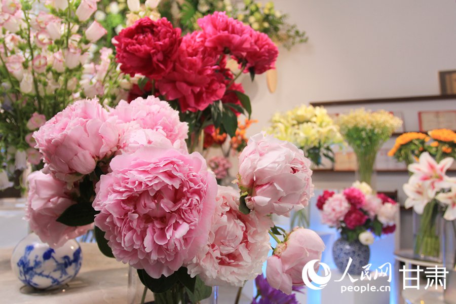 蘭州新區：芍藥花開綻放“花樣經濟”【6】