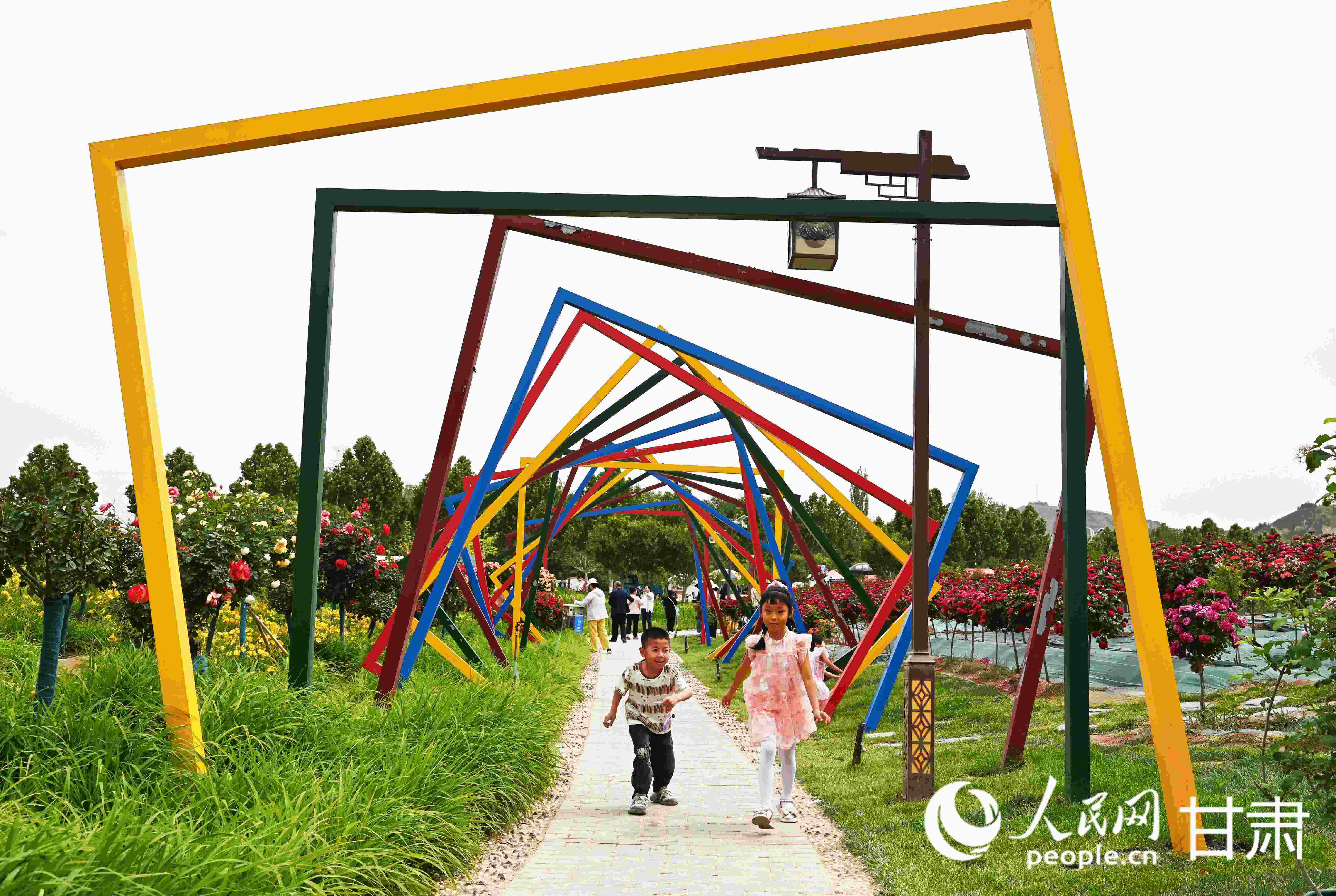 百畝花海驚艷盛放 去永靖赴一場夏日之約 【4】