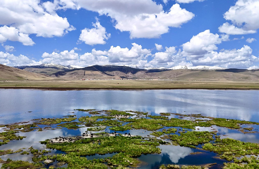 藍天白云下的濕地畫卷。栗佐平攝